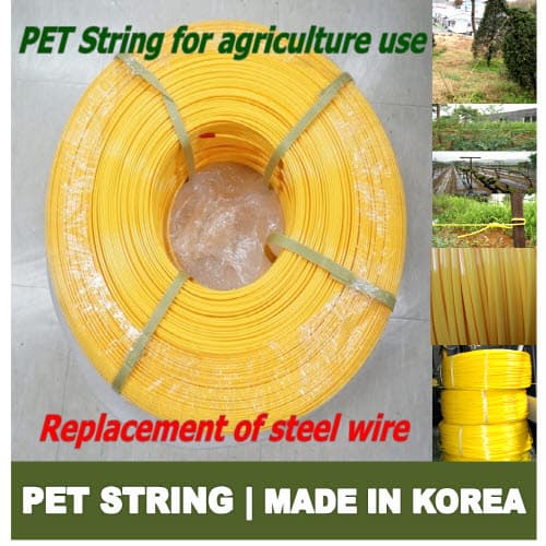 PET string for agriculture use from Korea